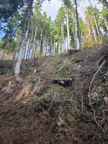 KHD Waldbrand Übung Breitenau 11.04.2026